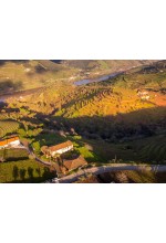 Portvinsmagning6112025-20